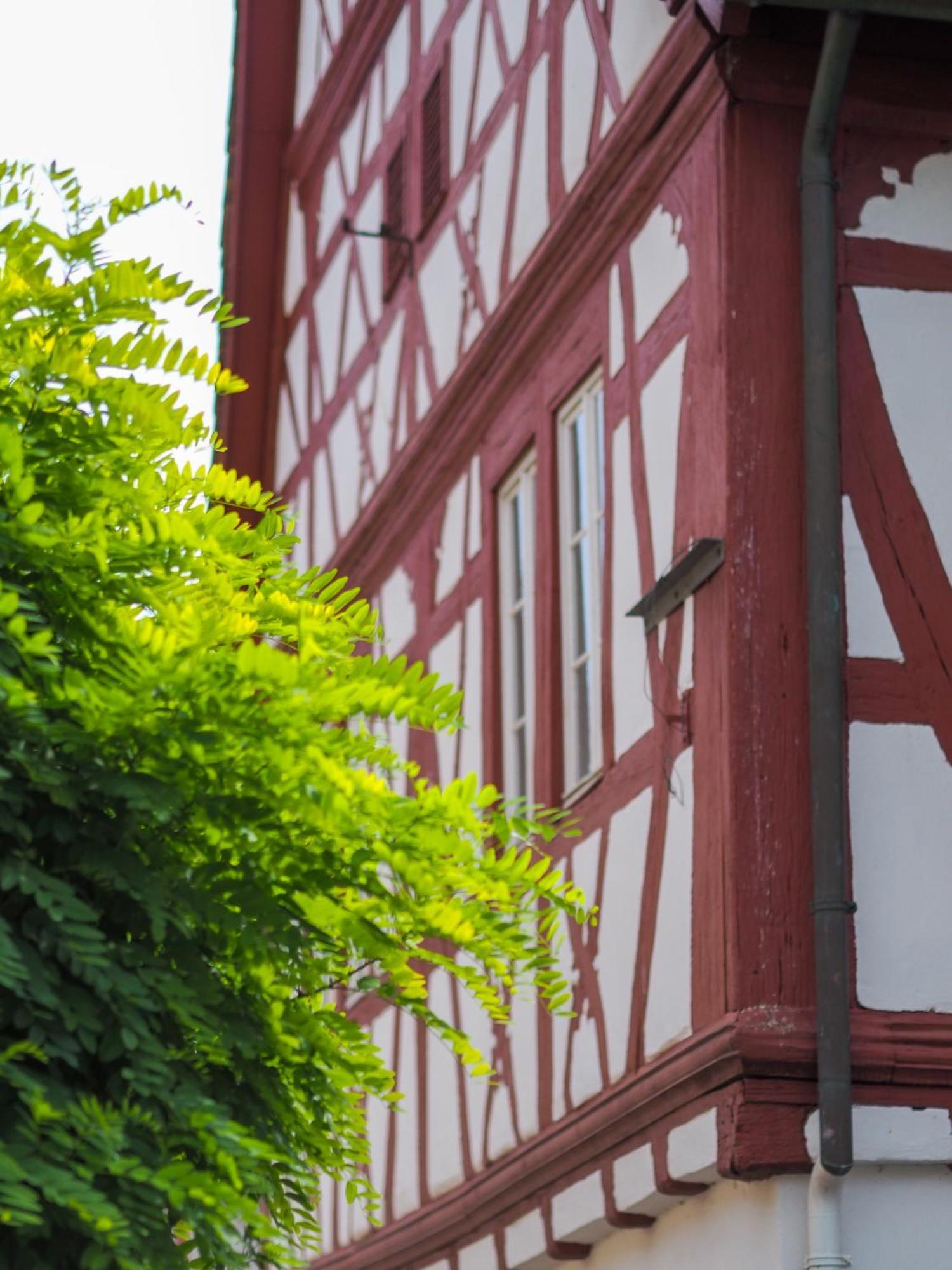 Weinstrasse No 8 "Einfach-Gut-Uebernachten" Leinsweiler Exterior foto